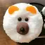 くまのプロフィール画像