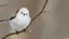 keyのプロフィール画像