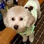 いけだのプロフィール画像