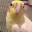 ゆ かのプロフィール画像
