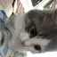 ゆずのプロフィール画像
