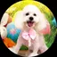 Emirin♡のプロフィール画像