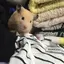 さらまりなのプロフィール画像