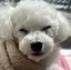 Sayaのプロフィール画像