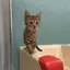 さつきのプロフィール画像