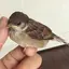 miyaのプロフィール画像