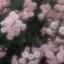 りりあのプロフィール画像