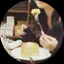 あゆのプロフィール画像