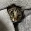 ゆかりのプロフィール画像