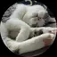 ららのプロフィール画像