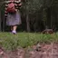よったんのプロフィール画像
