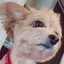 茜のプロフィール画像