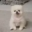 もえのプロフィール画像