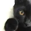 YURIのプロフィール画像