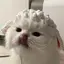 ゆのプロフィール画像