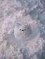Kanのプロフィール画像