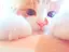 momoのプロフィール画像