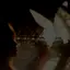 りんりんのプロフィール画像