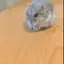 みのプロフィール画像