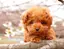 あやかのプロフィール画像