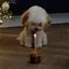 てんのプロフィール画像