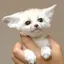 KYOのプロフィール画像