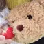 caoのプロフィール画像