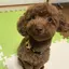 さおりまるのプロフィール画像