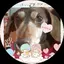 DAIのプロフィール画像