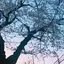 鈴のプロフィール画像