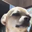 ありちゃんのプロフィール画像