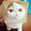 ひかのプロフィール画像