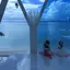 千波のプロフィール画像