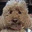 Matsuiのプロフィール画像