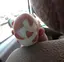 ギマのプロフィール画像