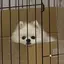 ゆかのプロフィール画像