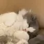 実佑のプロフィール画像