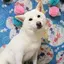 寛奈のプロフィール画像