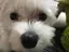 たかこのプロフィール画像