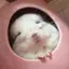 もっちのプロフィール画像