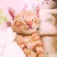 きののプロフィール画像