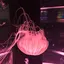 ナのプロフィール画像