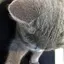 一二三のプロフィール画像