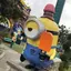 どんこのプロフィール画像
