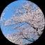 small summerのプロフィール画像