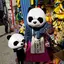 ハルのプロフィール画像