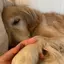 Rのプロフィール画像