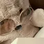 manaのプロフィール画像