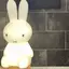 えりなのプロフィール画像