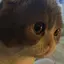 うみのプロフィール画像